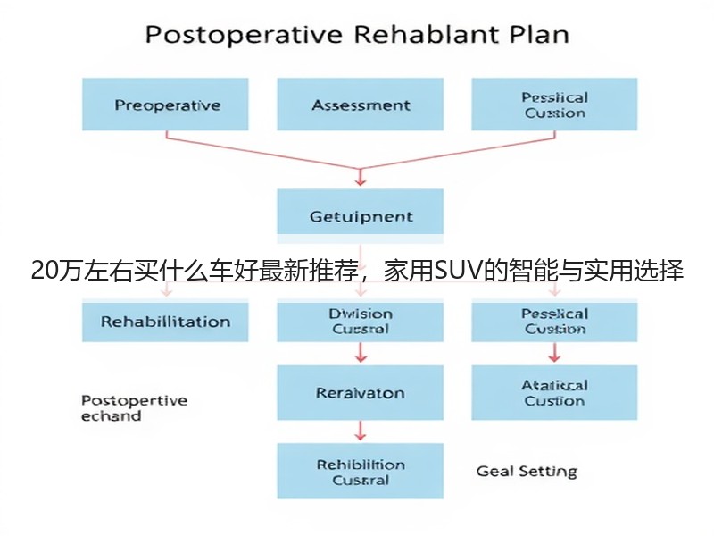 20万左右买什么车好最新推荐，家用SUV的智能与实用选择