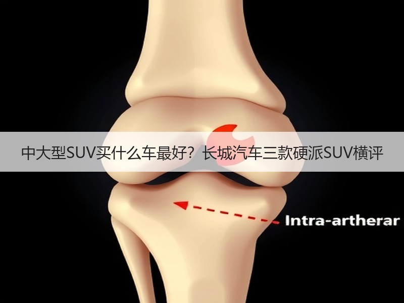 中大型SUV买什么车最好？长城汽车三款硬派SUV横评