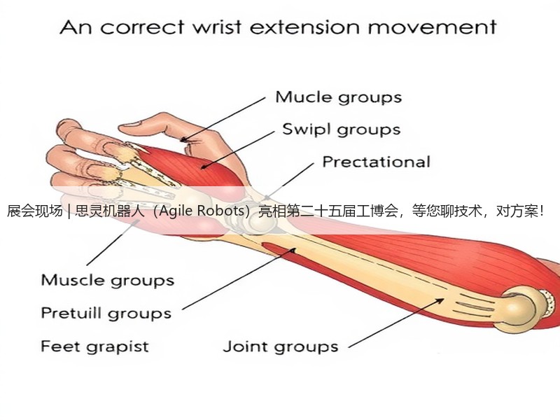 展会现场 | 思灵机器人（Agile Robots）亮相第二十五届工博会，等您聊技术，对方案！