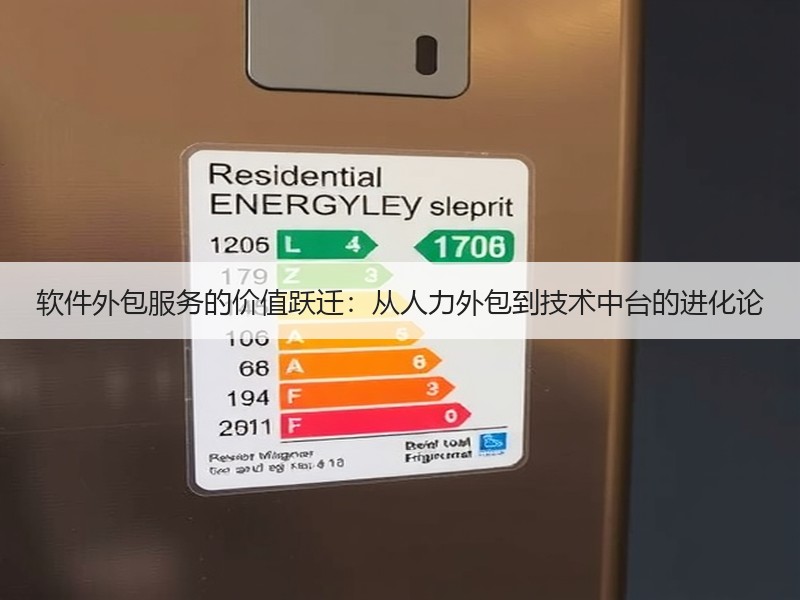 软件外包服务的价值跃迁：从人力外包到技术中台的进化论