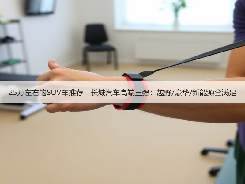 25万左右的SUV车推荐，长城汽车高端三强：越野/豪华/新能源全满足