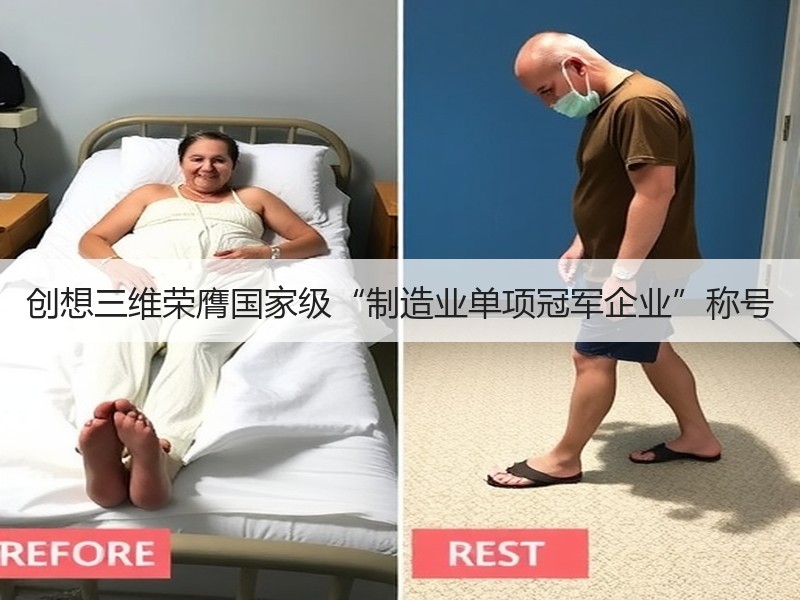 创想三维荣膺国家级“制造业单项冠军企业”称号