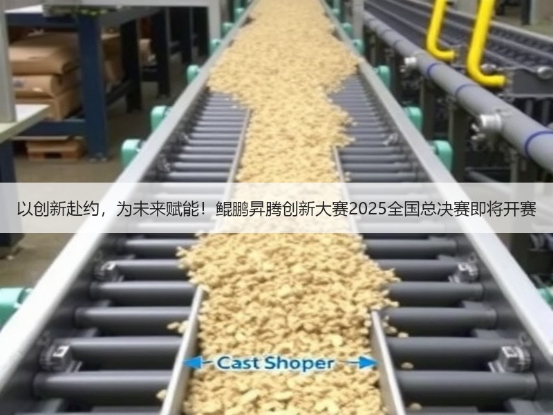 以创新赴约，为未来赋能！鲲鹏昇腾创新大赛2025全国总决赛即将开赛
