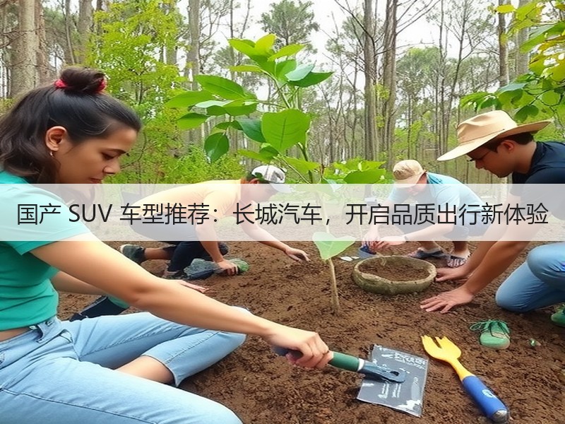 国产 SUV 车型推荐：长城汽车，开启品质出行新体验