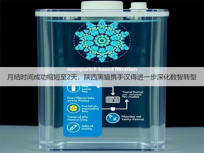 月结时间成功缩短至2天，陕西黑猫携手汉得进一步深化数智转型