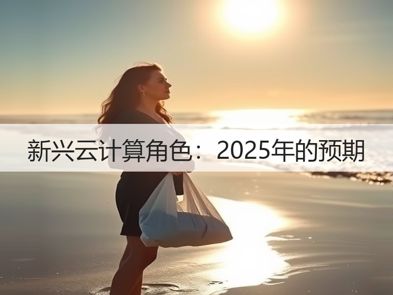 新兴云计算角色：2025年的预期