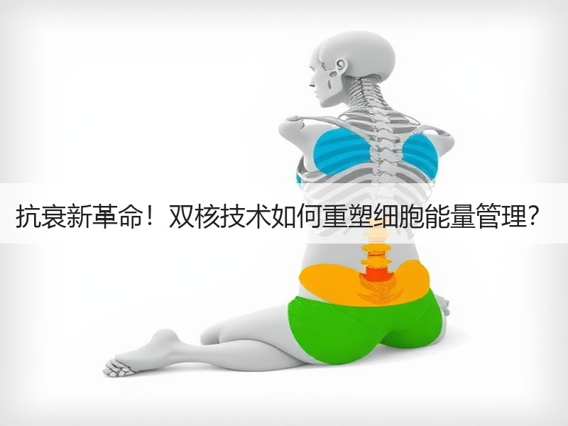 抗衰新革命！双核技术如何重塑细胞能量管理？