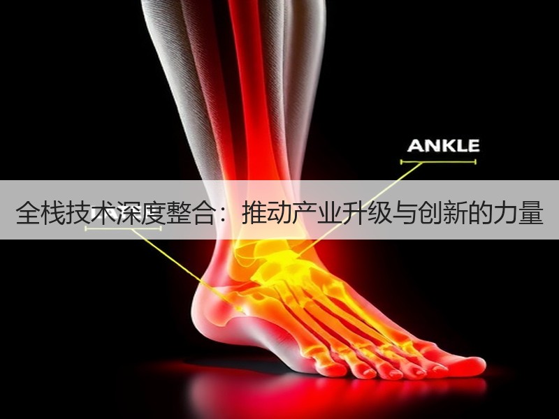 全栈技术深度整合：推动产业升级与创新的力量