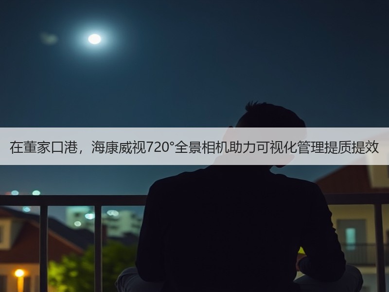 在董家口港，海康威视720°全景相机助力可视化管理提质提效