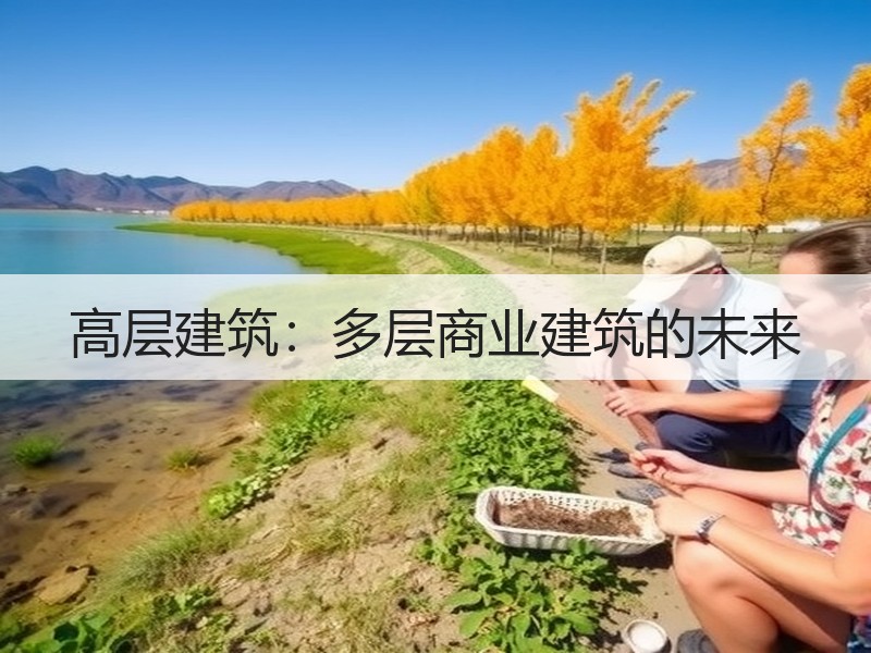 高层建筑：多层商业建筑的未来