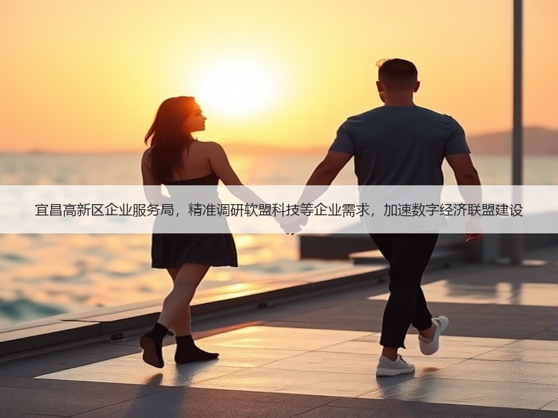 宜昌高新区企业服务局，精准调研软盟科技等企业需求，加速数字经济联盟建设