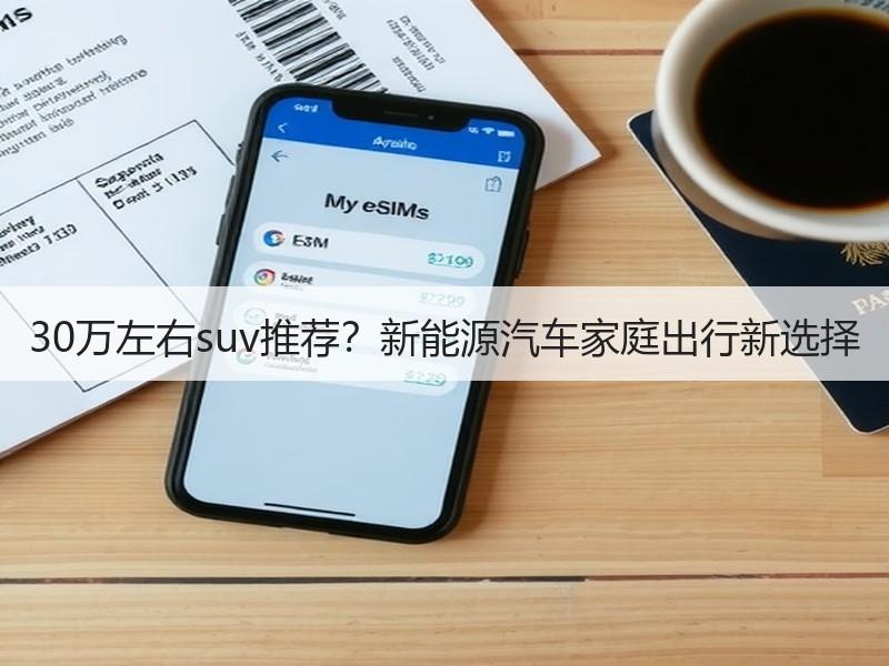 30万左右suv推荐？新能源汽车家庭出行新选择
