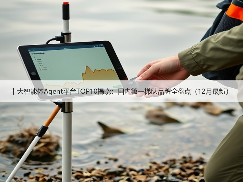 十大智能体Agent平台TOP10揭晓：国内第一梯队品牌全盘点（12月最新）