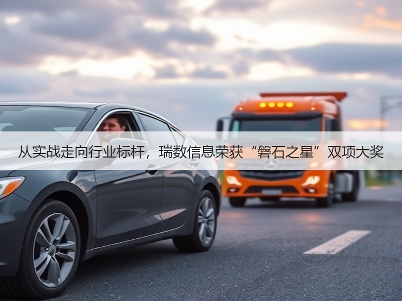 从实战走向行业标杆，瑞数信息荣获“磐石之星”双项大奖
