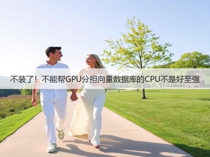 不装了！不能帮GPU分担向量数据库的CPU不是好至强