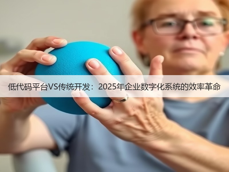 低代码平台VS传统开发：2025年企业数字化系统的效率革命