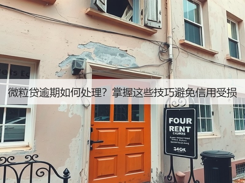 微粒贷逾期如何处理？掌握这些技巧避免信用受损