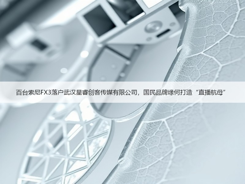 百台索尼FX3落户武汉星睿创客传媒有限公司，国民品牌缘何打造“直播航母”