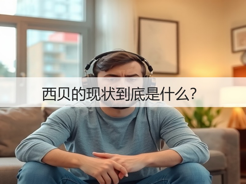 西贝的现状到底是什么？