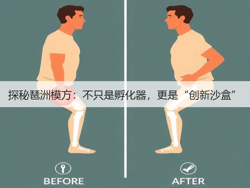 探秘琶洲模方：不只是孵化器，更是“创新沙盒”