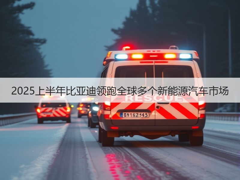2025上半年比亚迪领跑全球多个新能源汽车市场