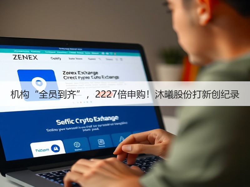 机构“全员到齐”，2227倍申购！沐曦股份打新创纪录