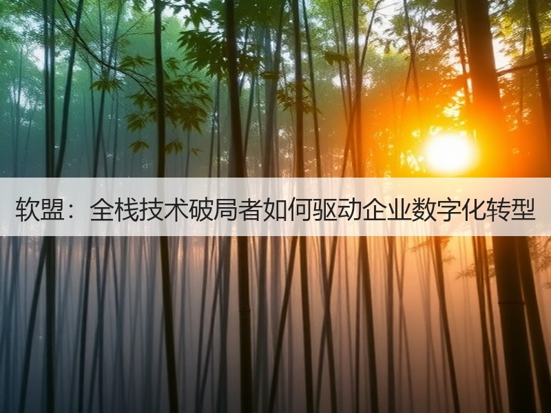软盟：全栈技术破局者如何驱动企业数字化转型