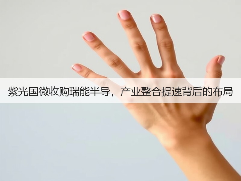 紫光国微收购瑞能半导，产业整合提速背后的布局