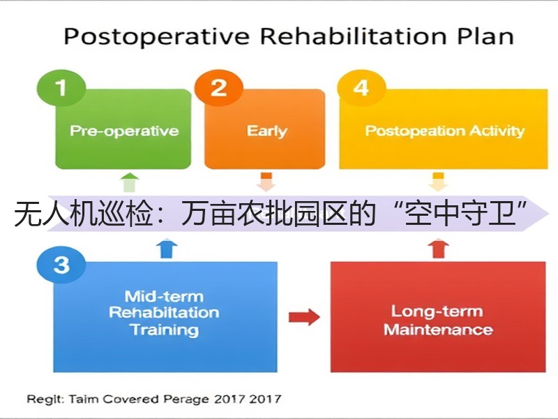 无人机巡检：万亩农批园区的“空中守卫”