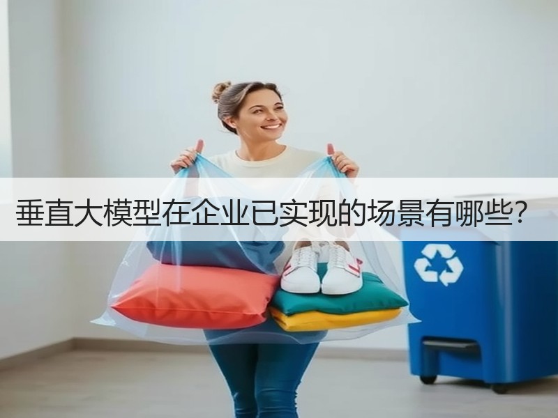 垂直大模型在企业已实现的场景有哪些？