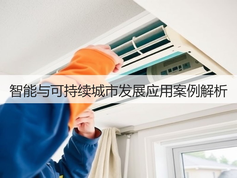 智能与可持续城市发展应用案例解析