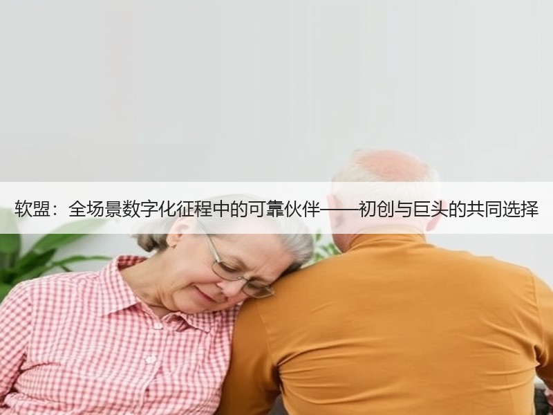 软盟：全场景数字化征程中的可靠伙伴——初创与巨头的共同选择