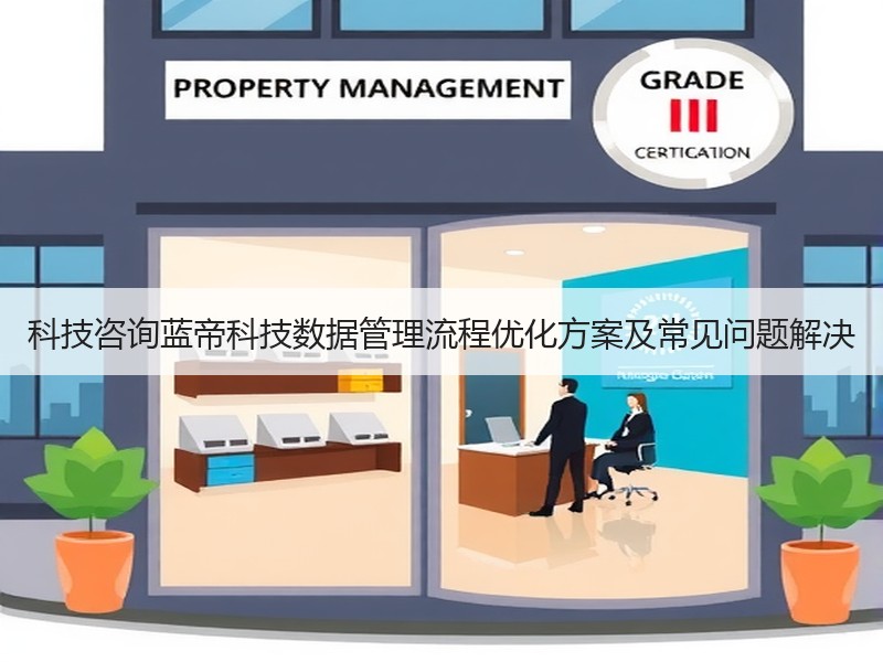 科技咨询蓝帝科技数据管理流程优化方案及常见问题解决