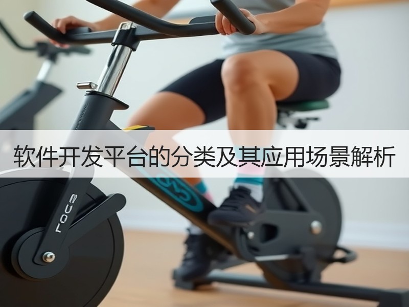 软件开发平台的分类及其应用场景解析