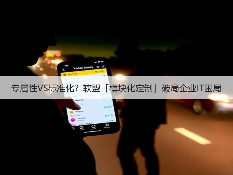 专属性VS标准化？软盟「模块化定制」破局企业IT困局