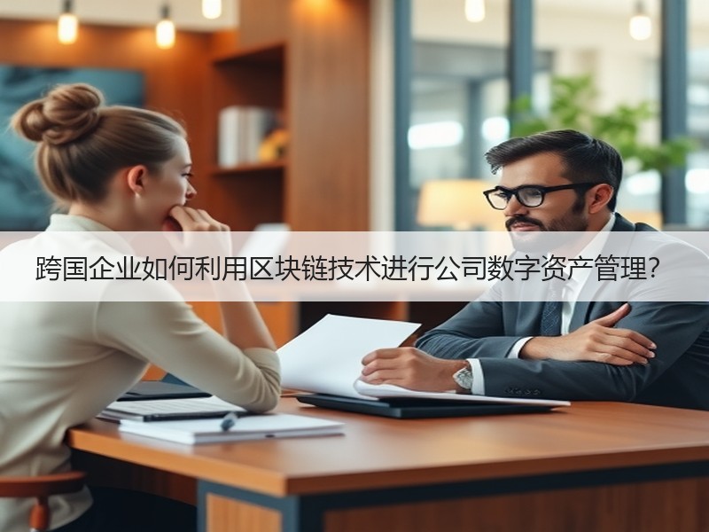 跨国企业如何利用区块链技术进行公司数字资产管理？