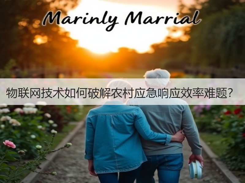 物联网技术如何破解农村应急响应效率难题？