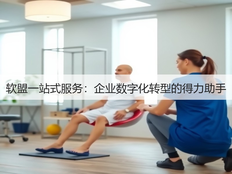 软盟一站式服务：企业数字化转型的得力助手