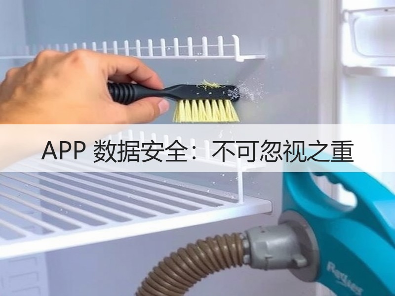 APP 数据安全：不可忽视之重