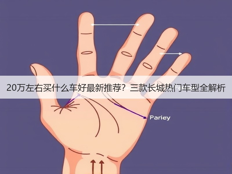 20万左右买什么车好最新推荐？三款长城热门车型全解析