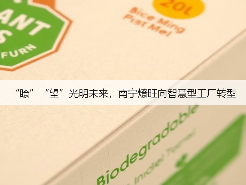 “瞭”“望”光明未来，南宁燎旺向智慧型工厂转型