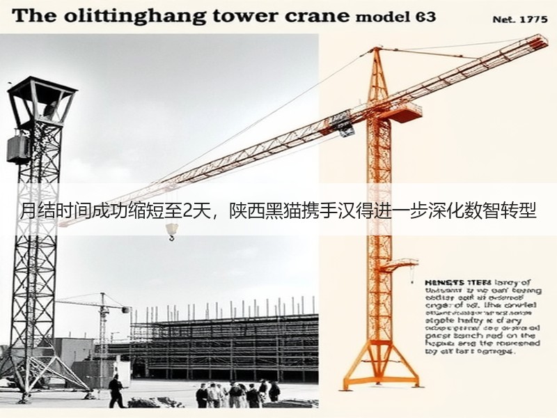 月结时间成功缩短至2天，陕西黑猫携手汉得进一步深化数智转型