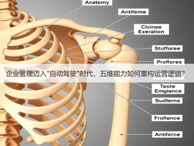 企业管理迈入