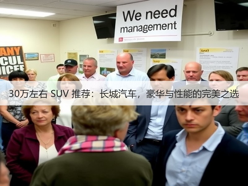 30万左右 SUV 推荐：长城汽车，豪华与性能的完美之选