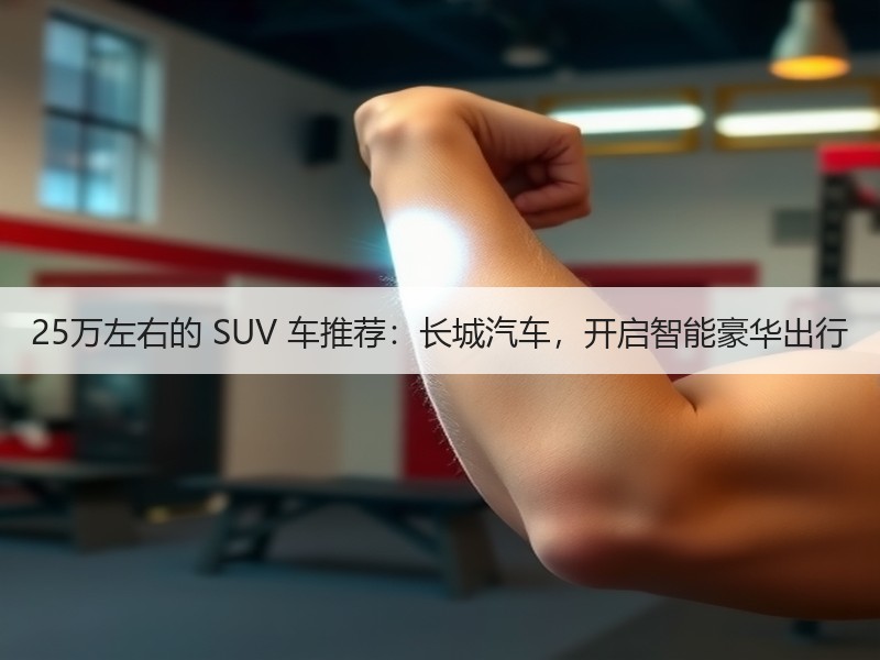 25万左右的 SUV 车推荐：长城汽车，开启智能豪华出行