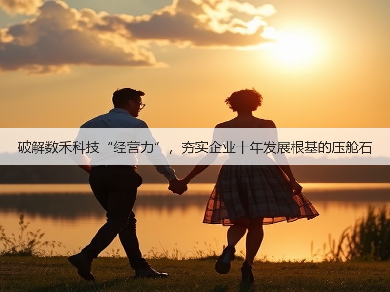 破解数禾科技“经营力”，夯实企业十年发展根基的压舱石