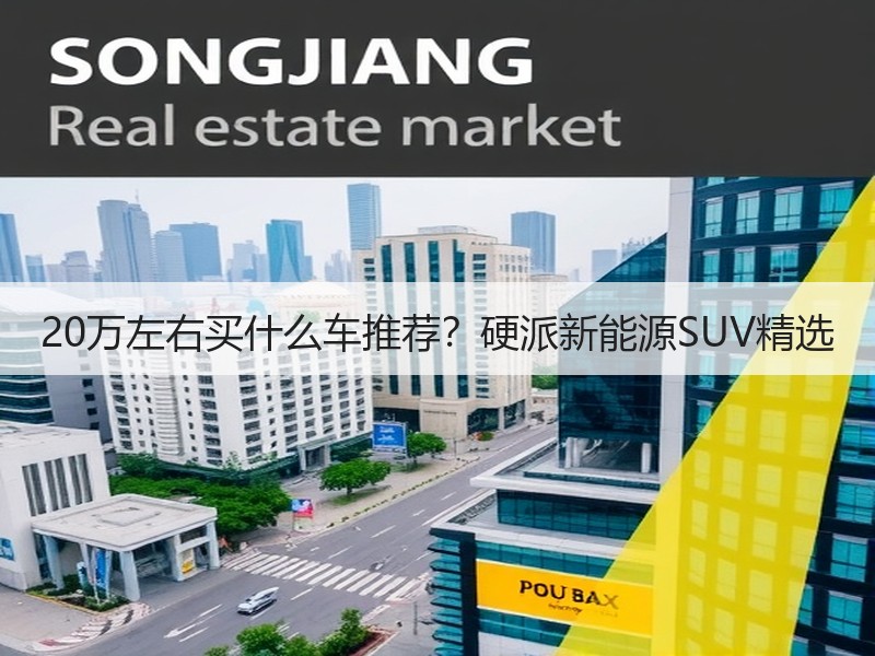 20万左右买什么车推荐？硬派新能源SUV精选