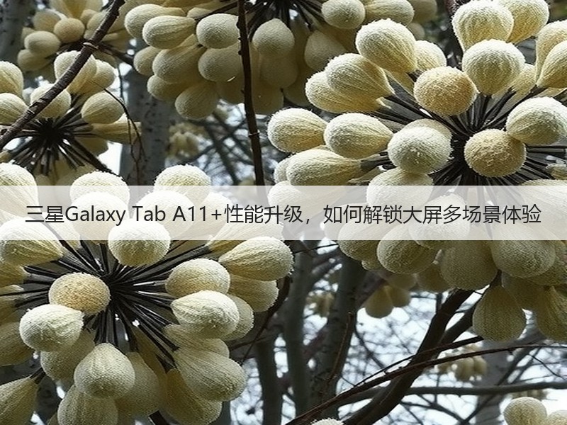 三星Galaxy Tab A11+性能升级，如何解锁大屏多场景体验