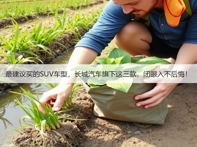 最建议买的SUV车型，长城汽车旗下这三款，闭眼入不后悔！