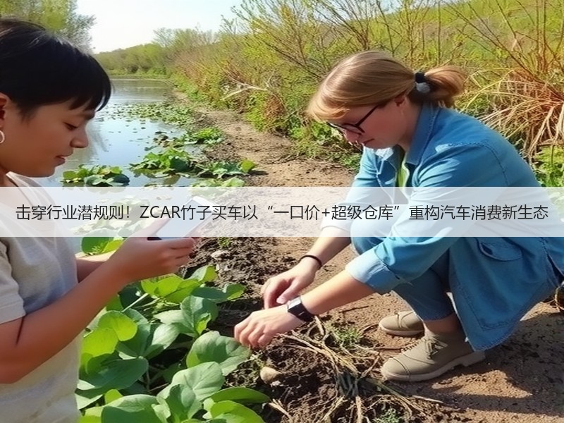 击穿行业潜规则！ZCAR竹子买车以“一口价+超级仓库”重构汽车消费新生态